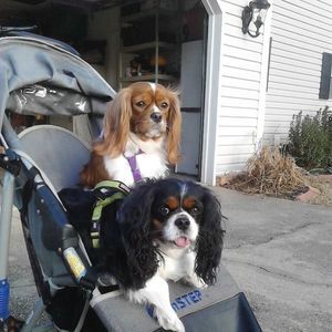 Meet your Posher, Twynette